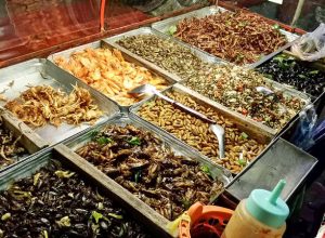 Street Food Thailand That Makes You Vomit